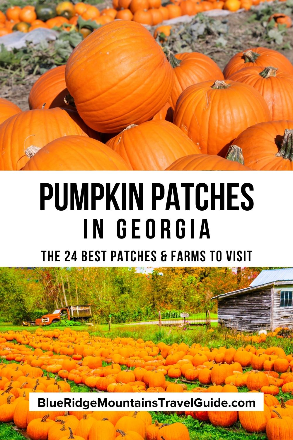 pumpkin patches north georgia