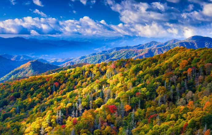 20 Best Things to Do in the Blue Ridge Mountains of North Carolina