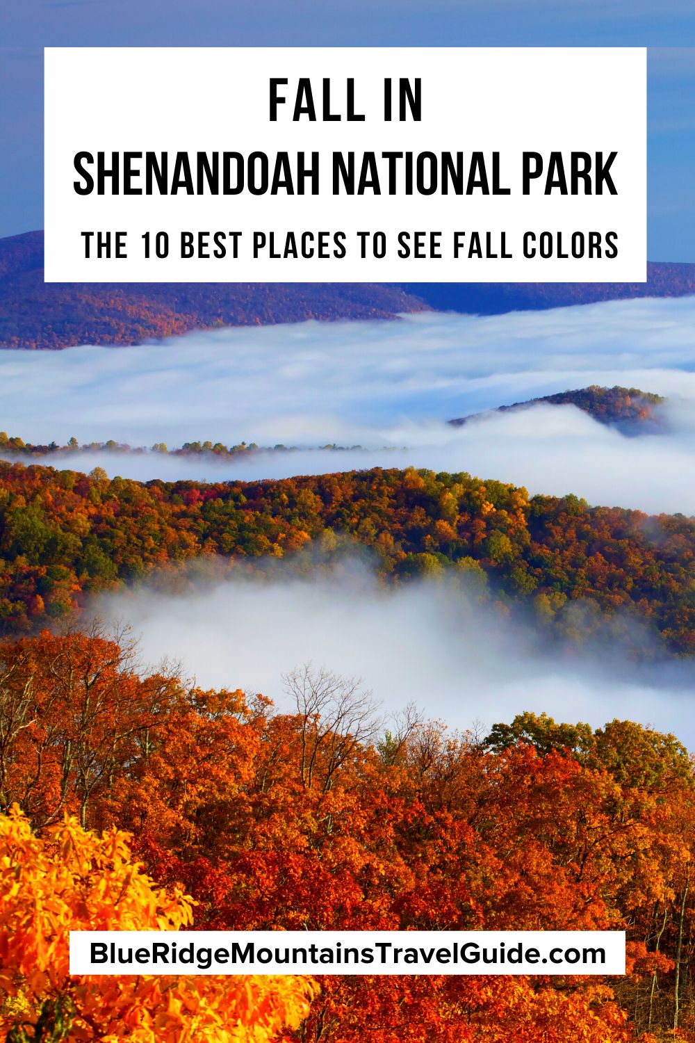 Fall in Shenandoah National Park: 10 Places to See Fall Foliage