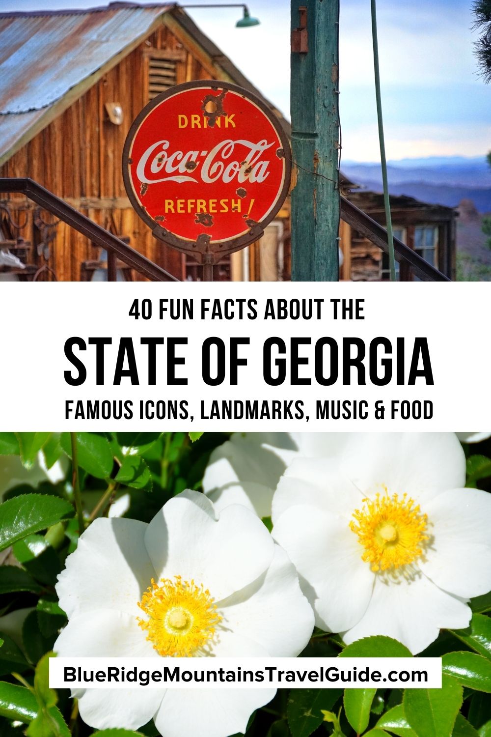 Top 20 Things to Do in the Blue Ridge Mountains of Georgia