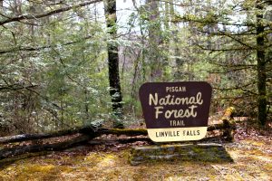 pisgah national forest hiking