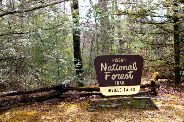 Pisgah National Forest Hiking