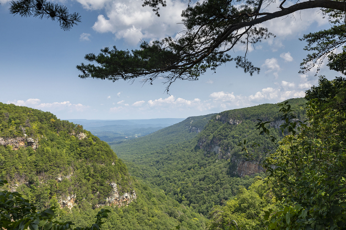 Cloudland Canyon State Park - North Georgia Mountains