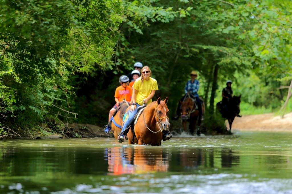 Horseback Riding with Dillard House in Dillard, GA