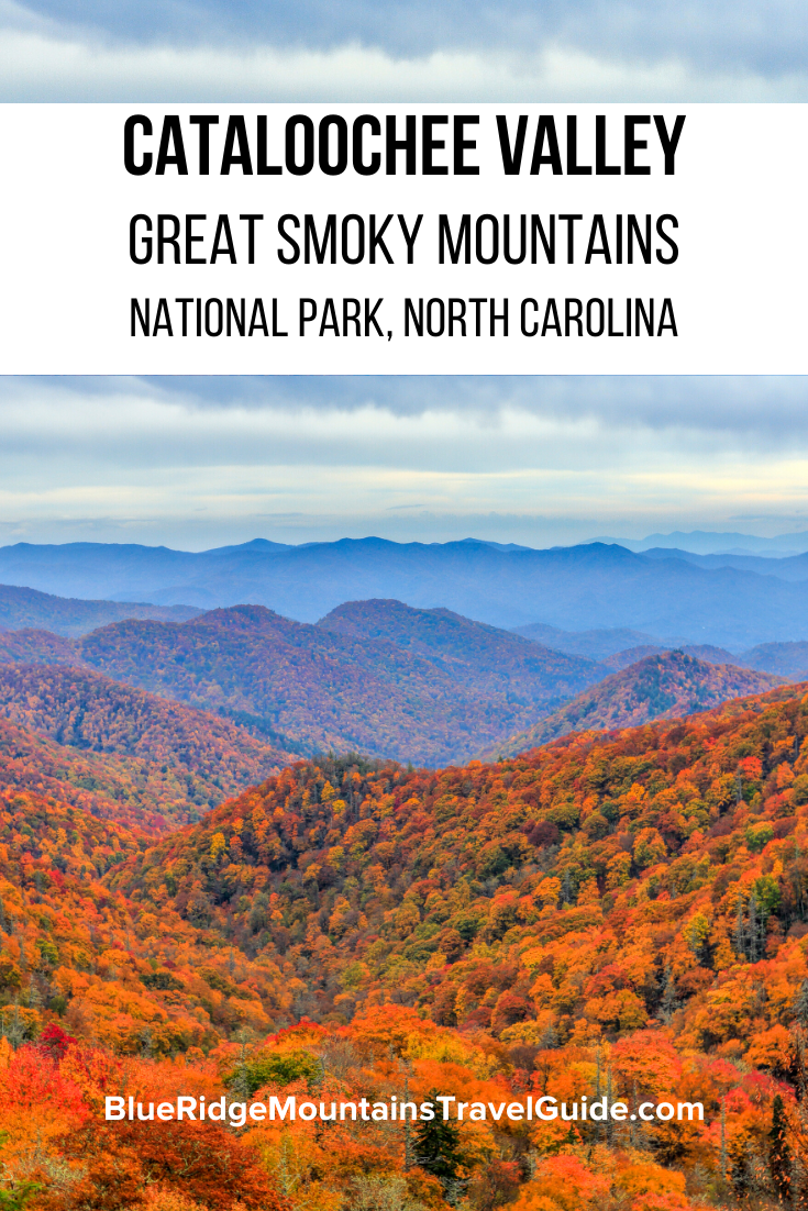 The Cataloochee Valley Elk in Great Smoky Mountains National Park