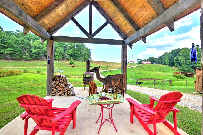 Cabin on working Alpaca Ranch near wineries