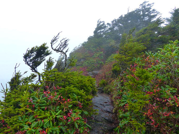 Grandfather Mountain State Park, NC