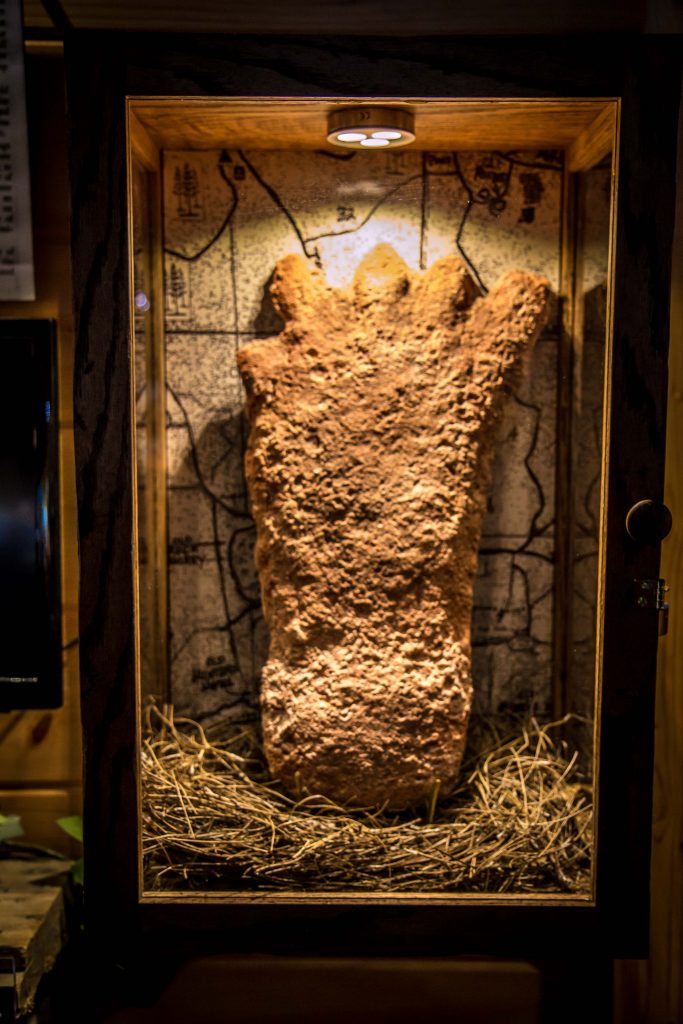 Bigfoot footprint at The Sasquatch Museum in Blue Ridge, GA