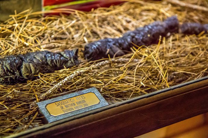 Sasquatch feces at Expedition Bigfoot Museum in Blue Ridge, GA