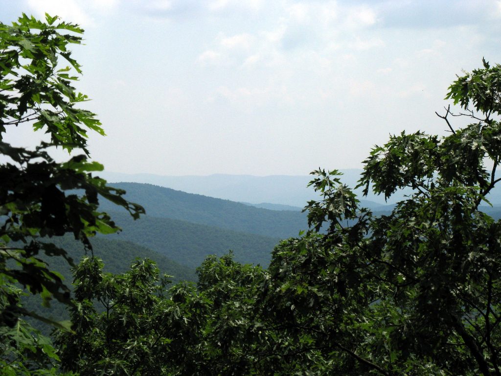 Springer Mountain - mountains of north georgia