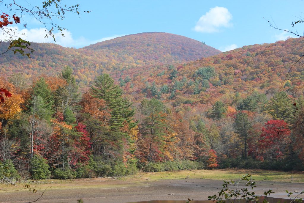 Slaughter Mountain -best hiking trails in north georgia 