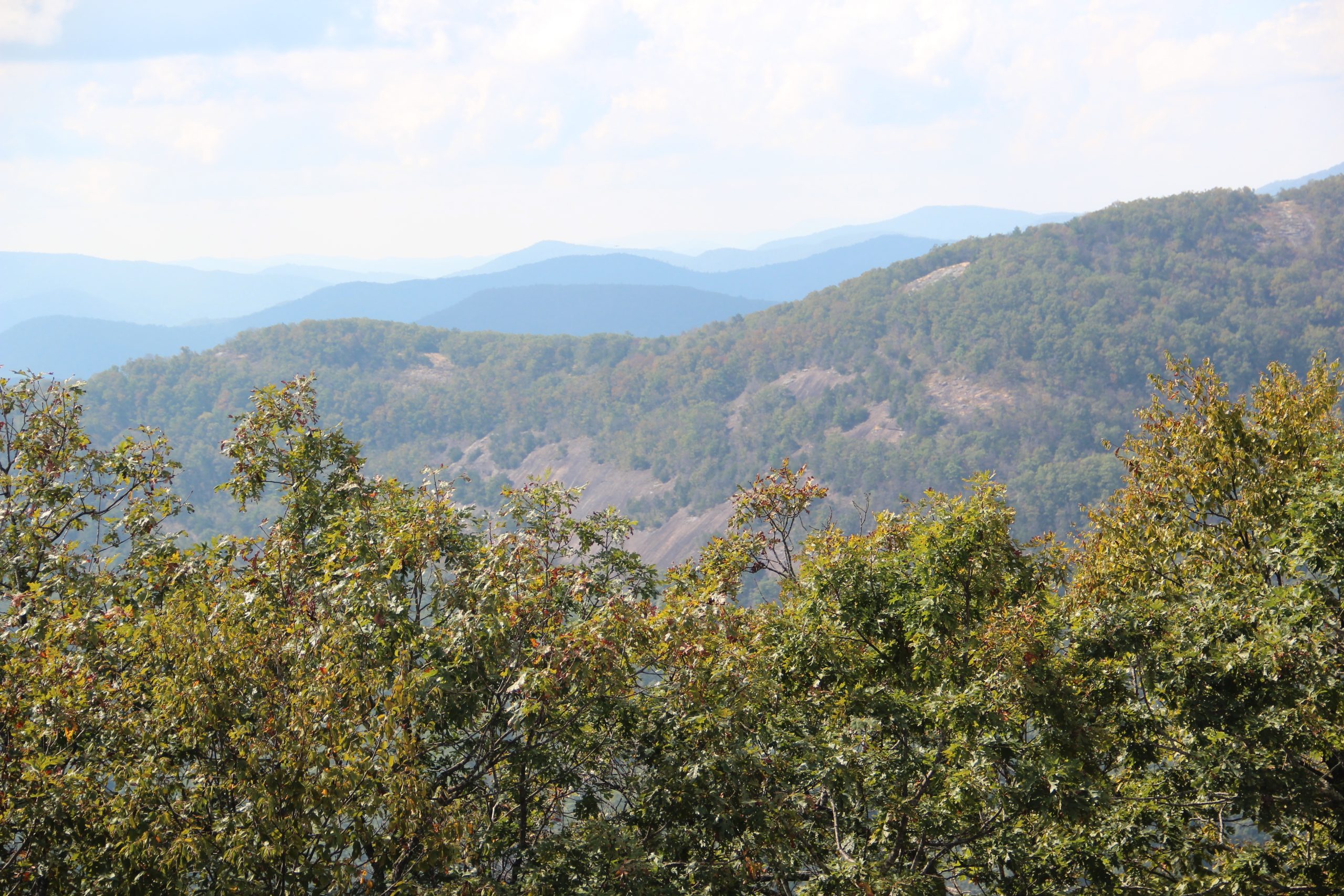 Cowrock Mountain - north georgia hiking trails
