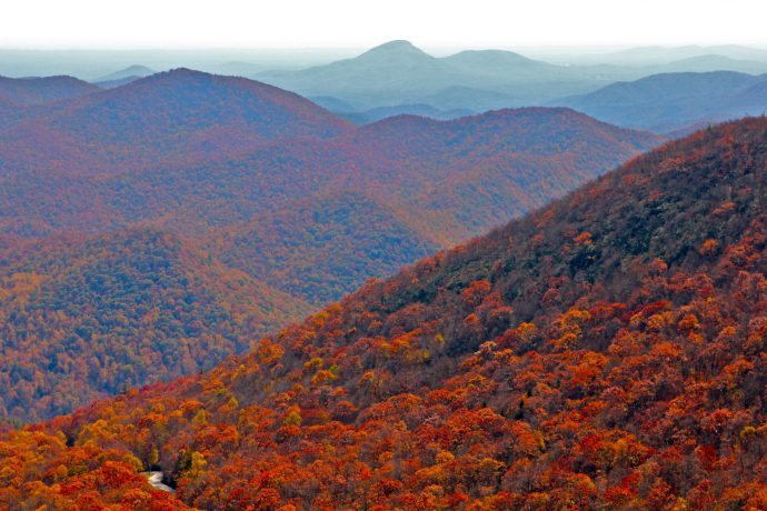 Fall colors in Georgia at Brasstown Bald