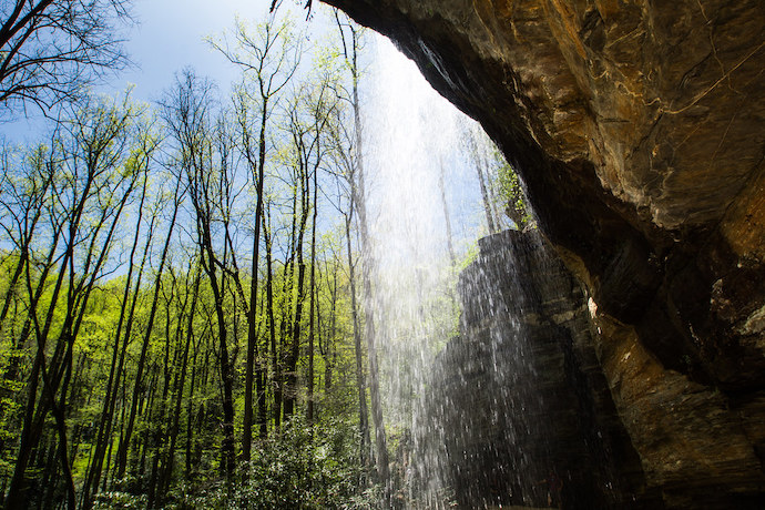 Best Pisgah Trails - Moore Cove Falls