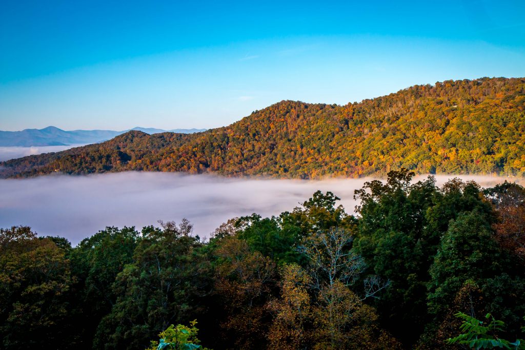 Fall Colors & Fog along the Blue Ridge Parkway