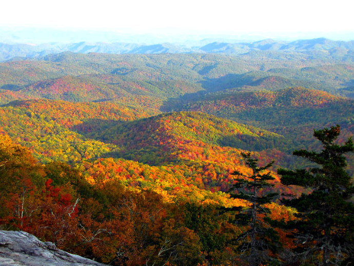 Beacon Heights Overlook