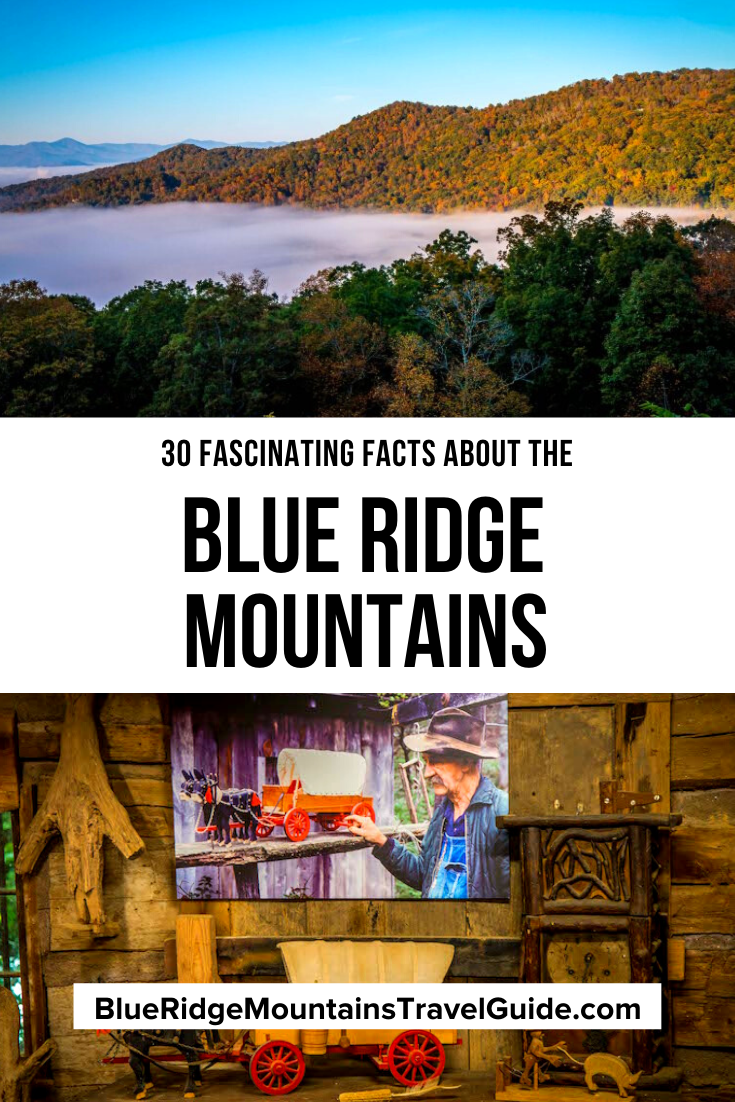30 Fascinating Blue Ridge Mountains Facts, including animals, culture, geography, geology, history and more! | facts about the blue ridge mountains | blue ridge range | things to do in the blue ridge mountains | blue ridge region | blue ridge mtns | pictures of blue ridge mountains | blue ridge mountains location | blue ridge mountains animals | blue ridge mountains plants | blue ridge animals | blue ridge mountain art | blue ridge arts | blue ridge arts center | blue ridge mountains in fall