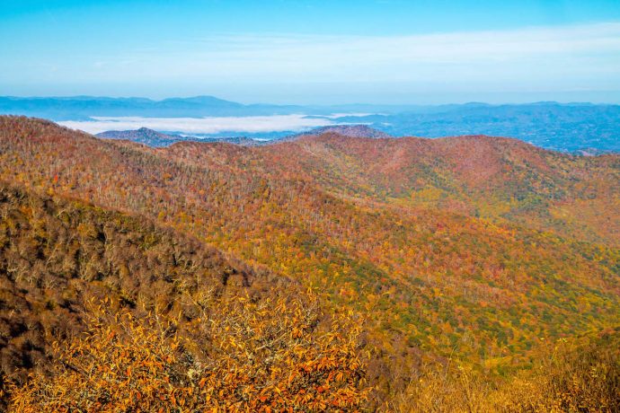 hiking in North Carolina - Fall Colors View from Craggy Gardens, North Carolina