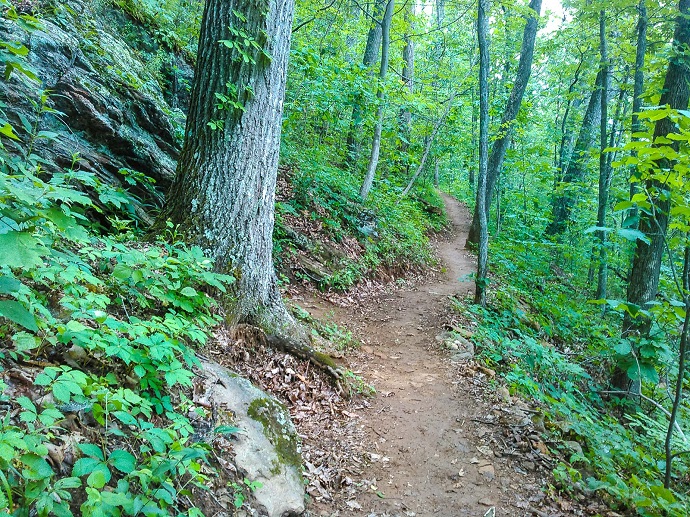 A section of the Mountains to Sea Trail near Asheville, NC