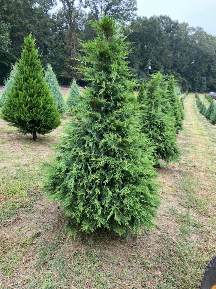 7 G's Farm