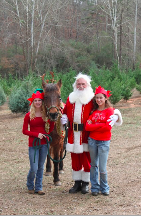 Hunters' Christmas Tree Farm