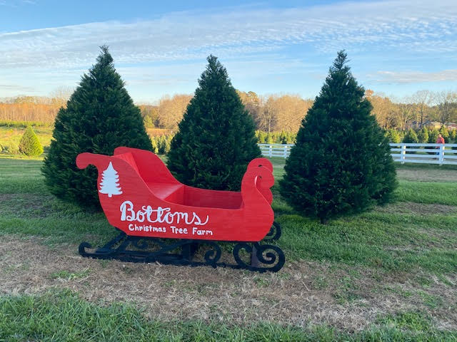 Bottoms Christmas Tree Farm - Georgia Christmas Tree Farms Where You Can Cut Your Own Christmas Tree