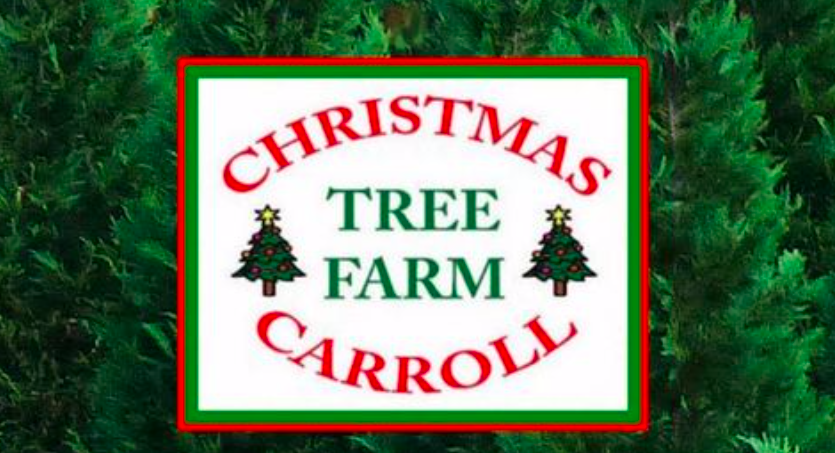 Christmas Carroll Tree Farm