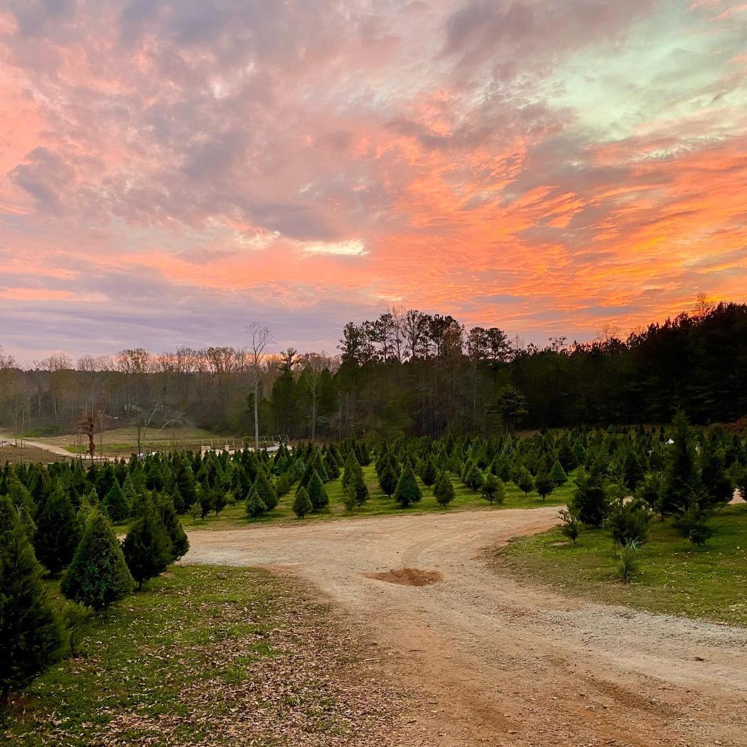 Sleepy Hollow Farm