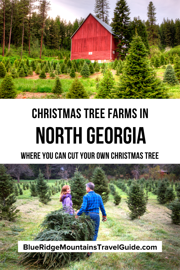 North Christmas Tree Farms Where You Can Cut Your Own Christmas