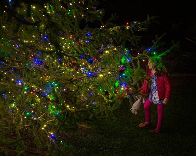 Holidays in Highlands