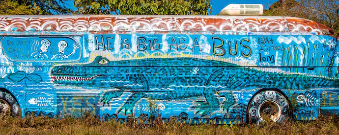 Alligator Painted School Bus at Schoolbus Graveyard in North GA Mountains