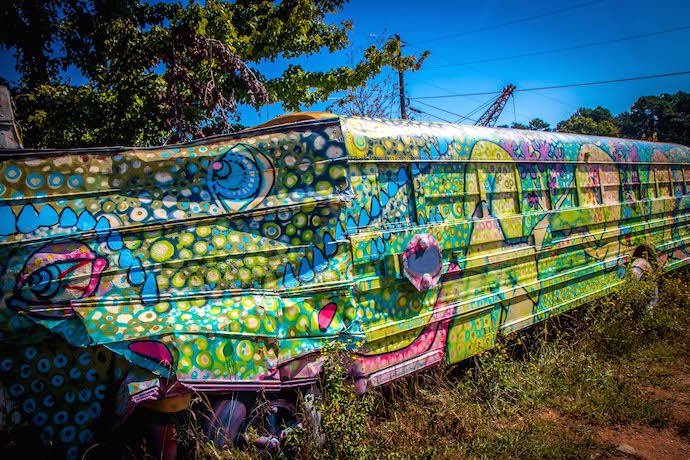 Iguana Painted School Bus at Schoolbus Graveyard in North GA_