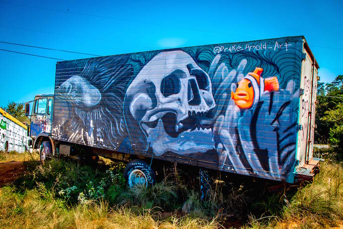 Skull & Fish Painted Truck at Schoolbus Graveyard in North GA