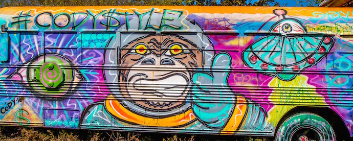 Space Monkey Painted School Bus at Schoolbus Graveyard, North GA