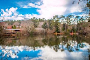 Chattahoochee Nature Center's Kingfisher Pond Reflection