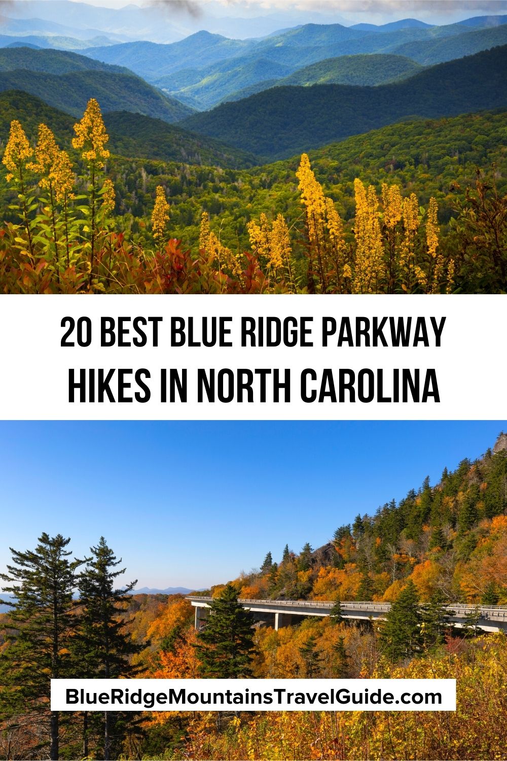 The 20 Best Blue Ridge Parkway Hikes for NC Day Trips, where you can see beautiful scenic vistas, waterfalls, flowers, wildlife and more. | best hikes on blue ridge parkway | best blue ridge parkway hikes | blue ridge mountains hiking | blue ridge mountain trail | blue ridge mountains hiking trails | blue ridge parkway best stops | blue ridge parkway hiking trails | blue ridge parkway trails | blue ridge parkway hiking