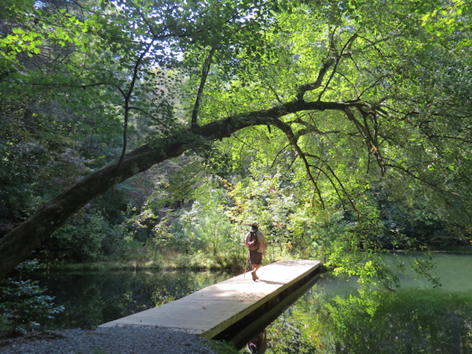 Dupont State Recreational Forest - History