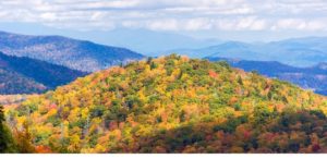 Pisgah National Forest Hiking Trails