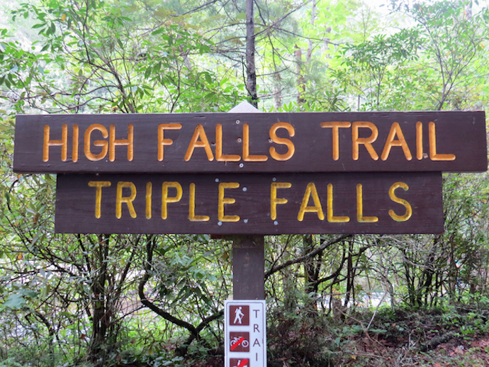 Dupont State Recreational Forest - Things to Do