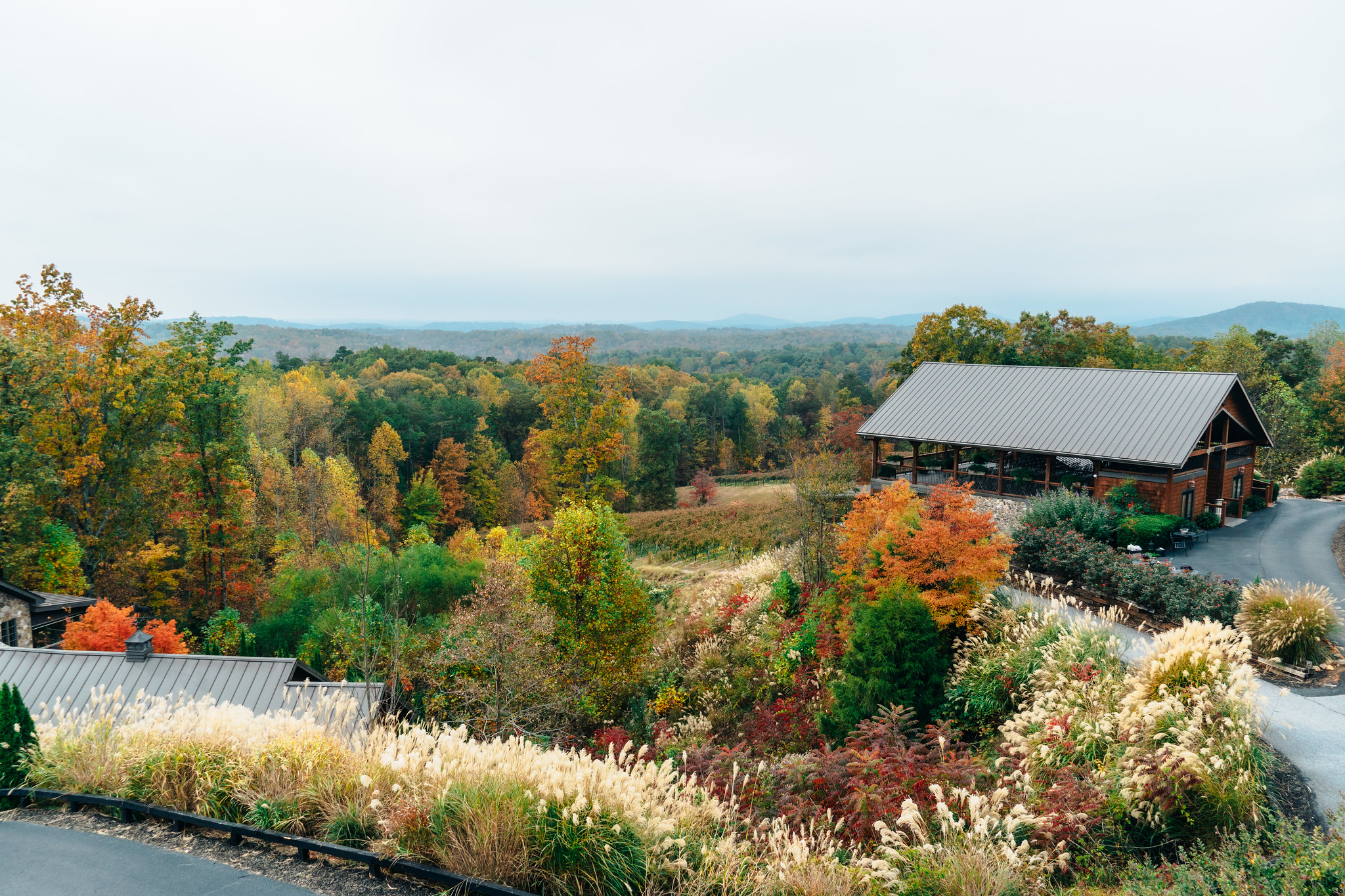 Wolf Mountain Vineyards & Winery - Dahlonega wineries