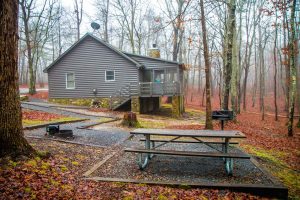 Foggy morning at Cloudland Canyon State Park Cabins