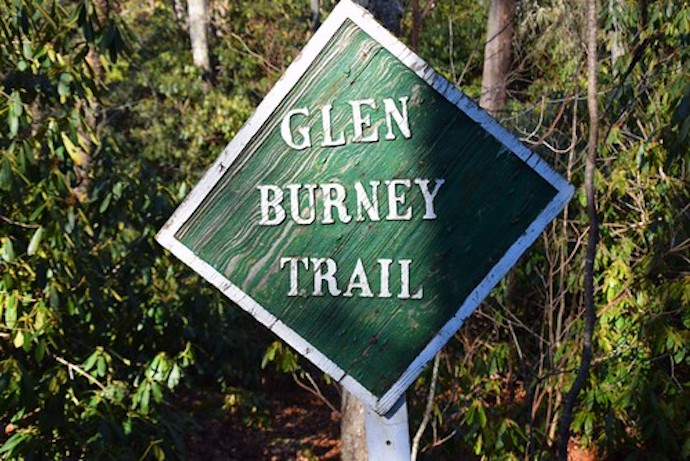 Boone Hiking Trails - Glen Burney