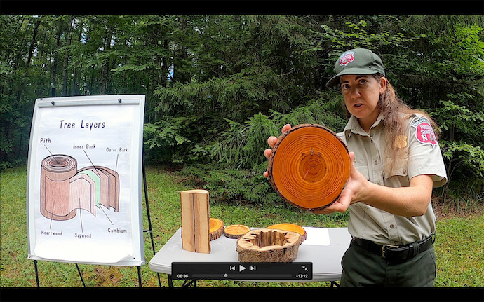 Holmes State Education Forest photo by Amy Kinsella