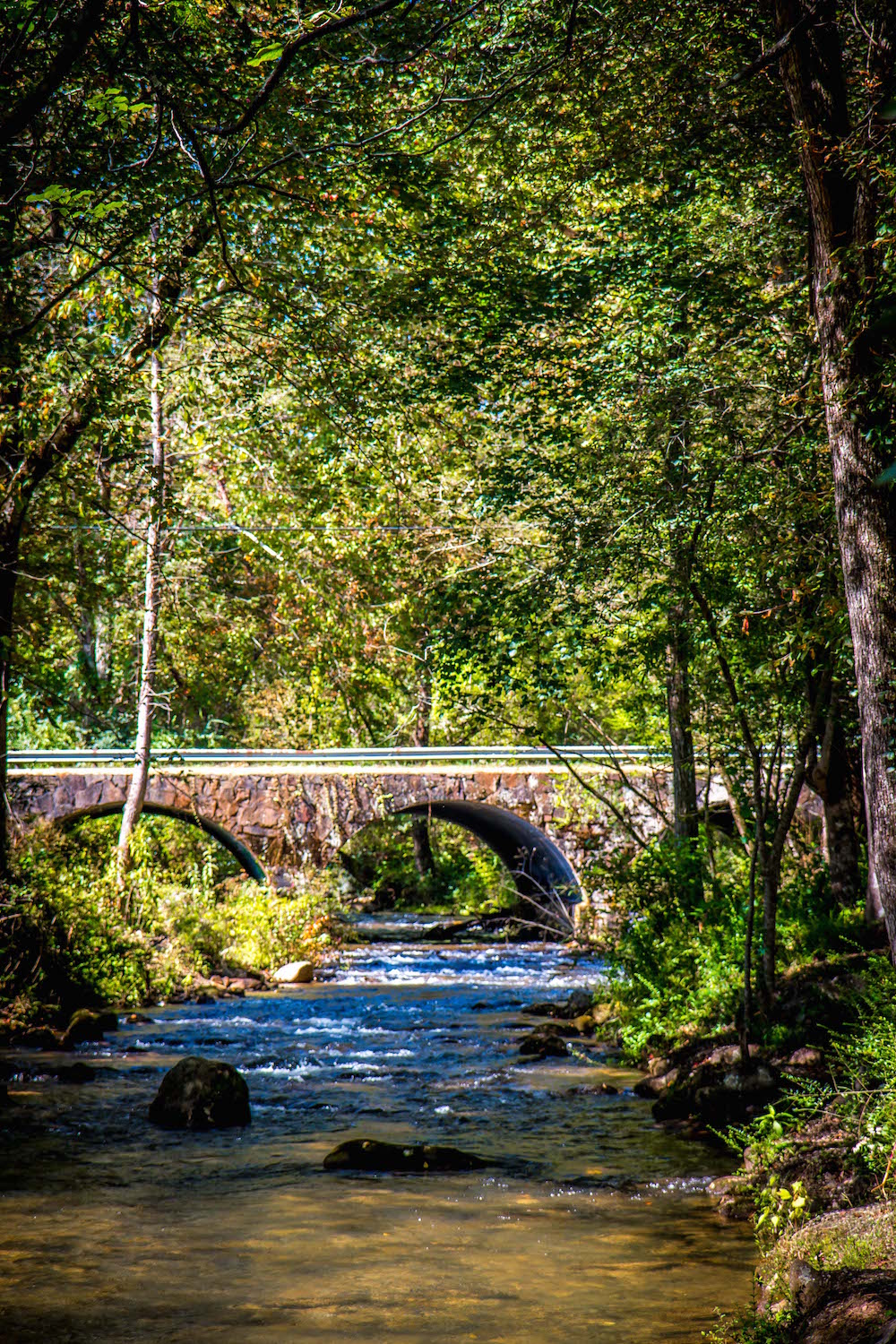 Moccasin Creek State Park Bridge