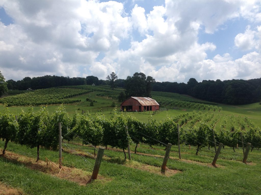 Three Sisters Vineyards