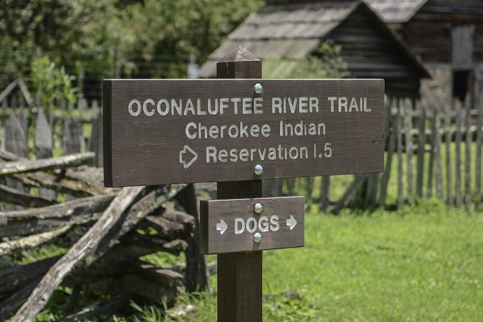 NC Wildflowers - Oconaluftee River Trail