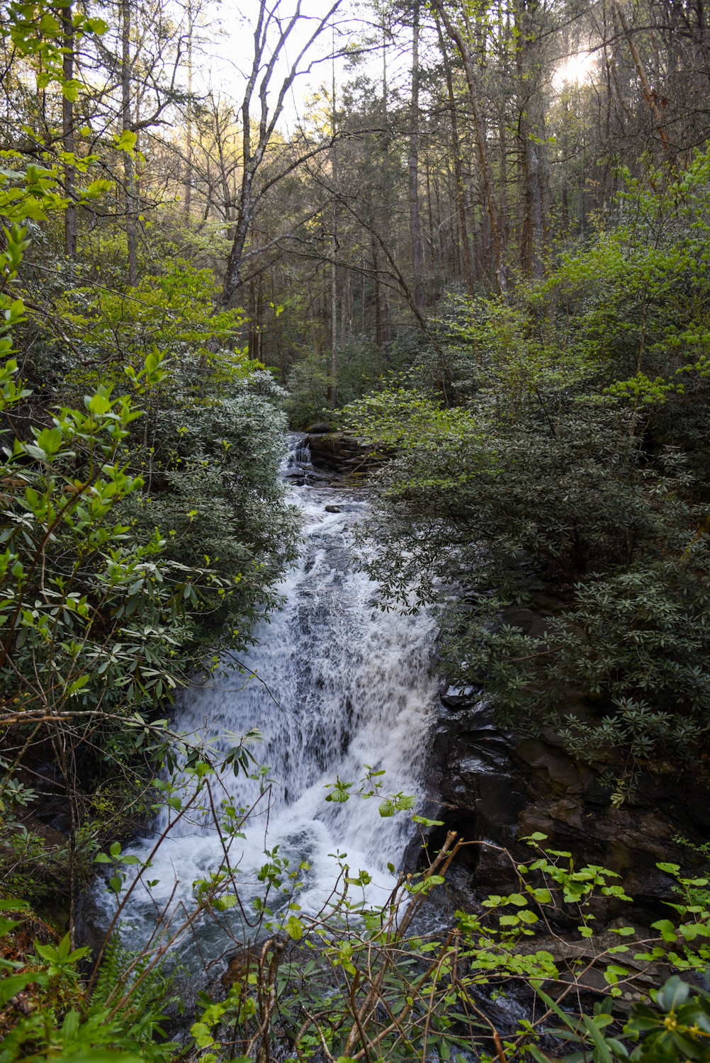 Vertical shot of Sea Creek Falls in Suches GA
