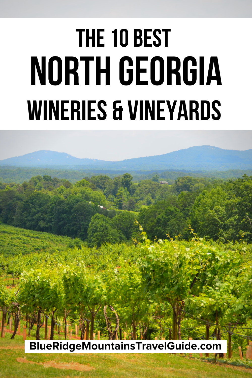wine tours north georgia mountains