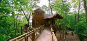 Canopy Blue Treehouse Blue Ridge Ga