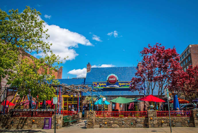 Mellow Mushroom in Asheville NC